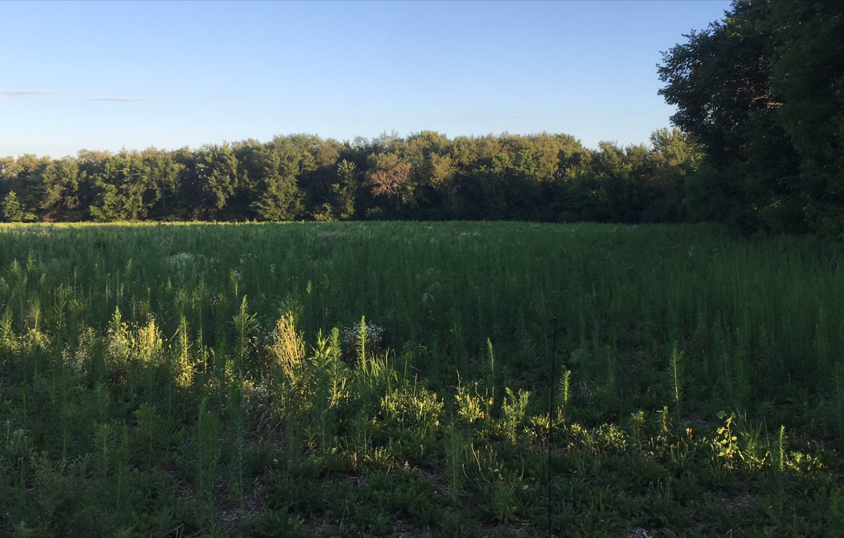 3800 A Winterbottom Road Morris, IL 60450 - Photo 1 of 2