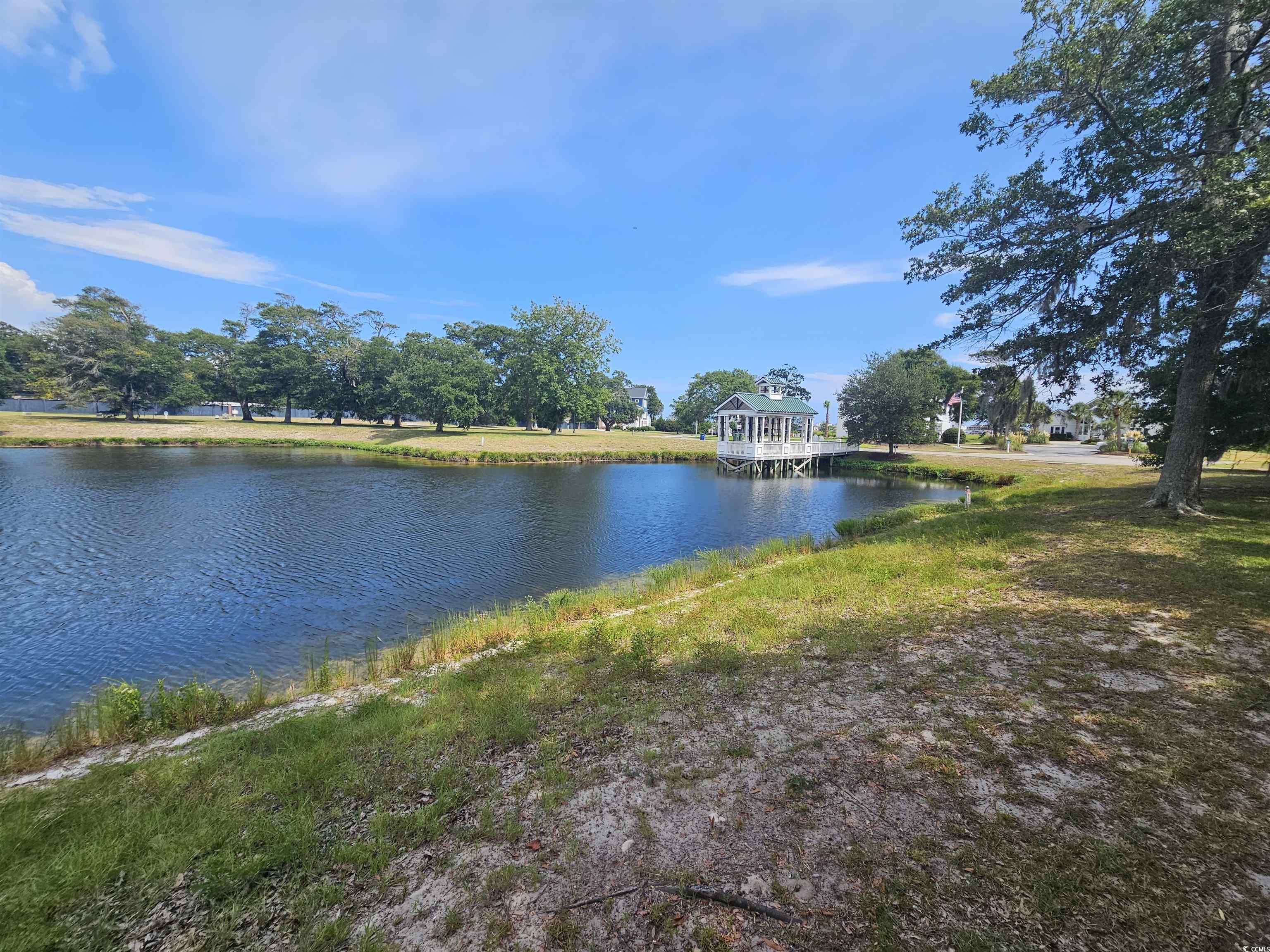 1005 Tarpon Pond Road North Myrtle Beach, SC 29582 - Photo 6 of 21 Gallery Image 6