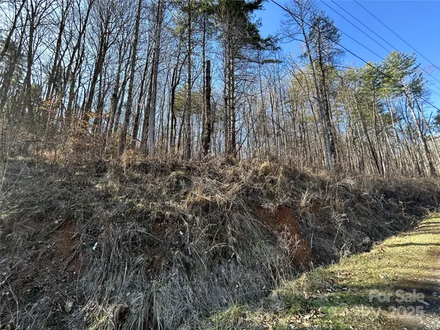 a view of a yard with trees