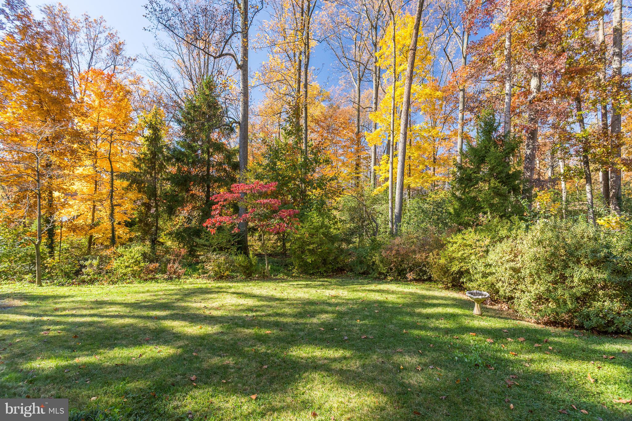 6515 Marywood Road Bethesda, MD 20817 - Photo 35 of 35