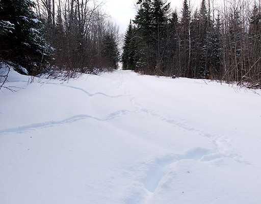 Lot 8 Hemore Road Houlton, ME 04730 - Photo 6 of 25 Land.