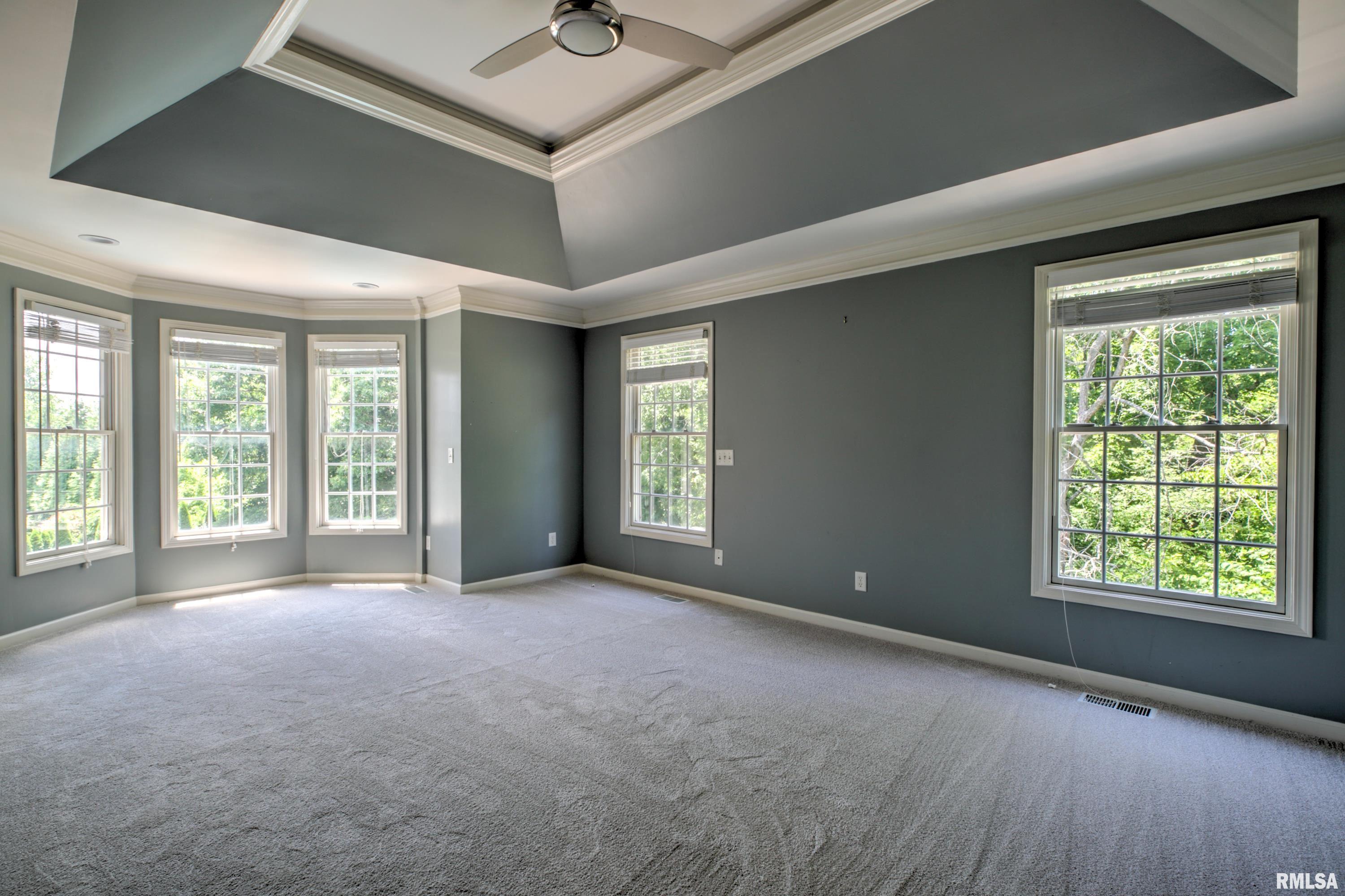 2929 Windpointe Drive Peoria, IL 61614 - Photo 60 of 100