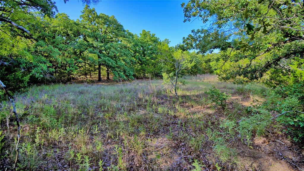218 Illinois Bend Road St. Jo, TX 76265 - Photo 9 of 16 Gallery Image 9