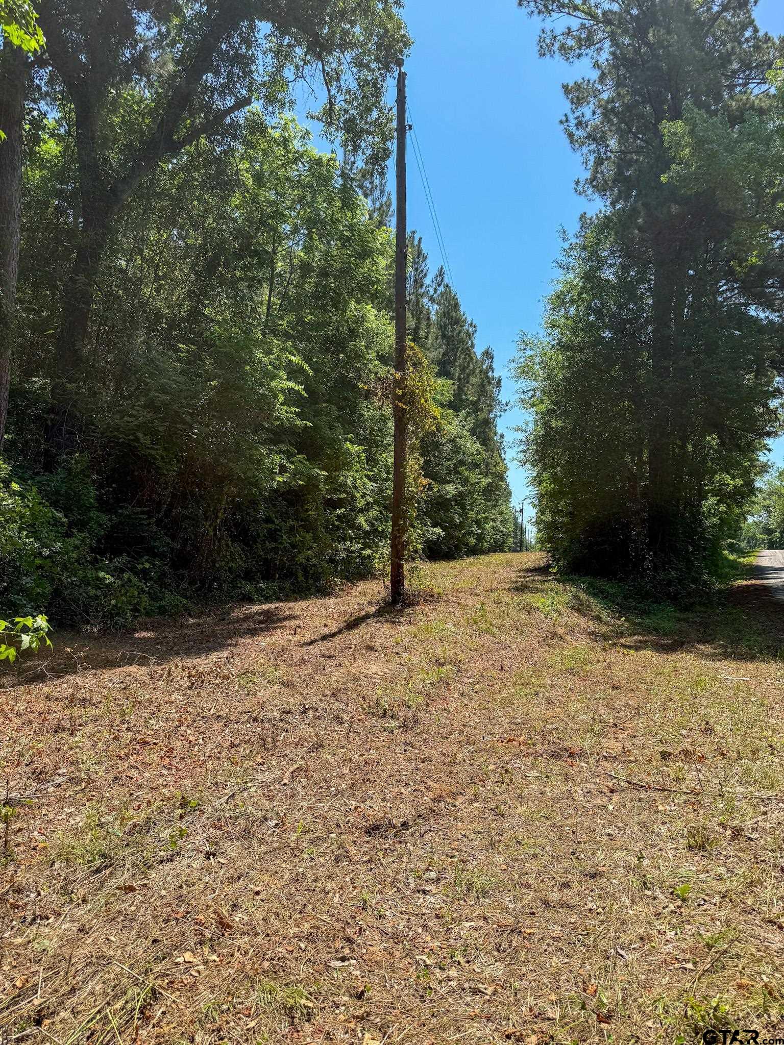 1329 C R 2112 Rusk, TX 75785 - Photo 7 of 13 a view of a yard with trees