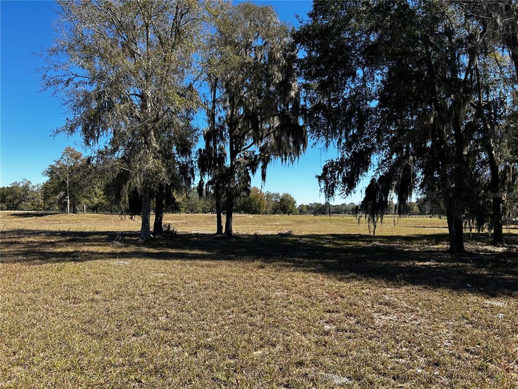 0 Northwest 464b Morriston, FL 32668 - Photo 13 of 20