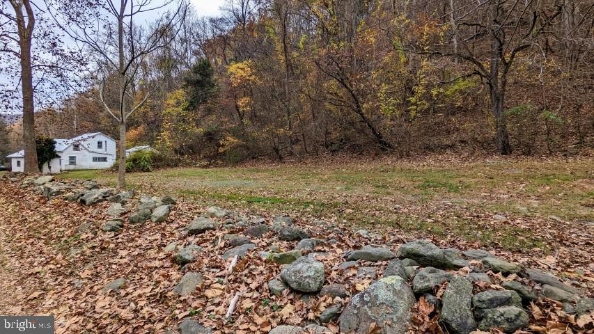 4303 Weakley Hollow Road Syria, VA 22743 - Photo 18 of 20 Yard