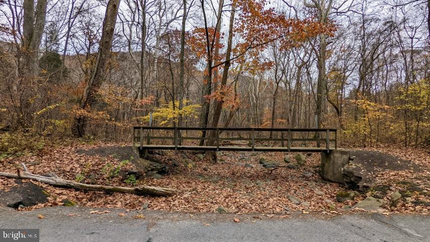 4303 Weakley Hollow Road Syria, VA 22743 - Photo 19 of 20 Walking bridge