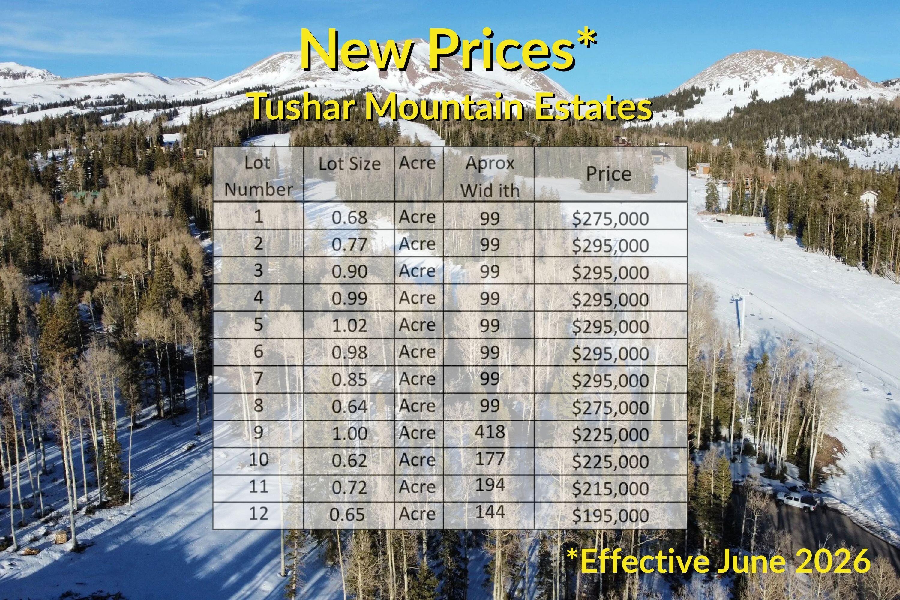 Tushar Mountain Estates, Unit 9 Beaver, UT 84713 - Photo 2 of 14 04 - Price List - Tushar MountainEstates
