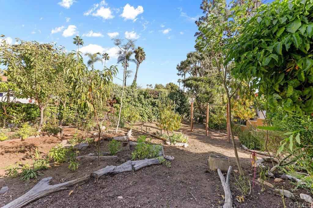 4530-32 4th Street La Mesa, CA 91941 - Photo 29 of 50 a view of a yard with plants and trees