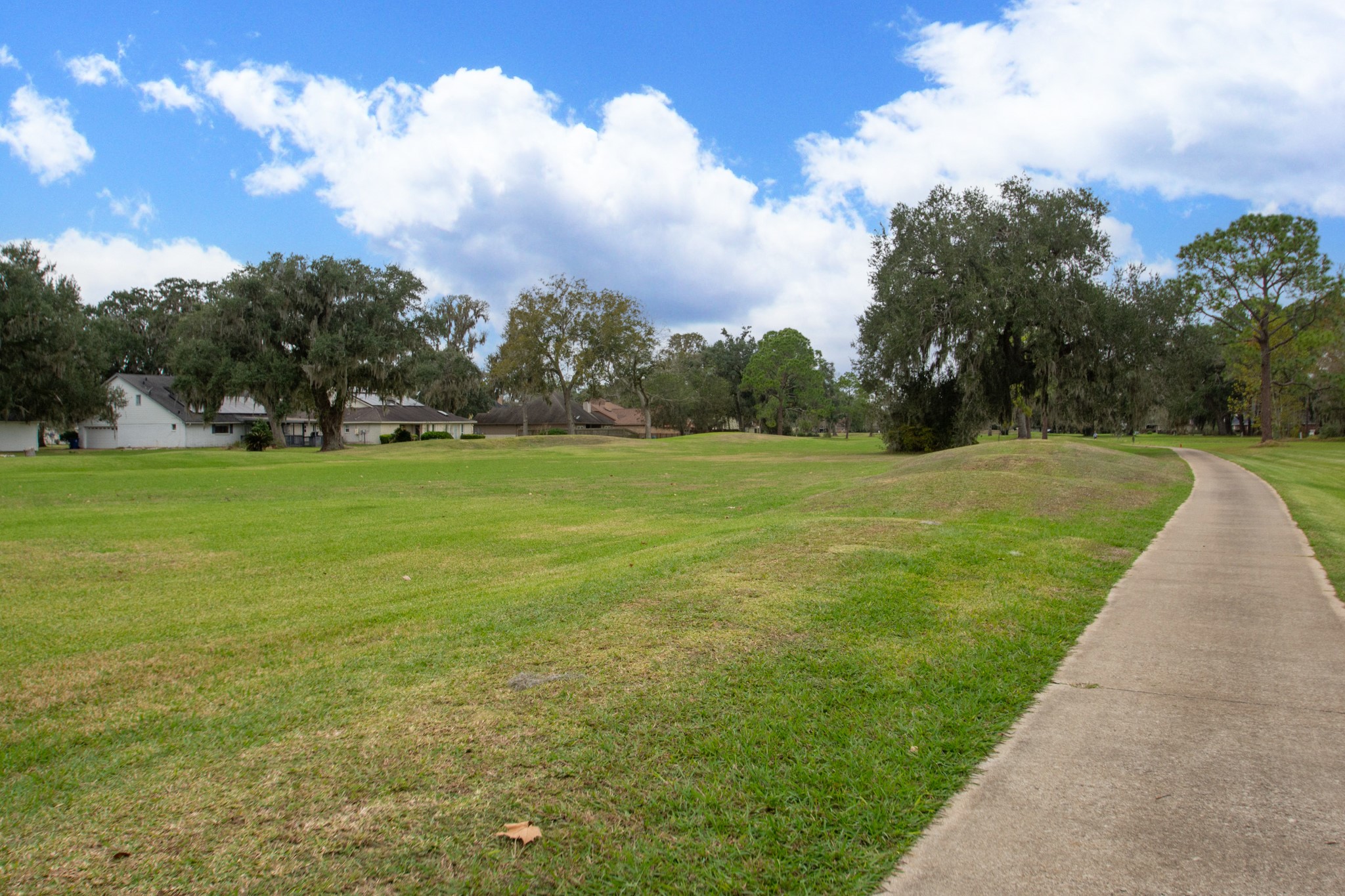 2190 Riverside Drive West Columbia, TX 77486 - Photo 39 of 39 a view of a field with an trees in the background