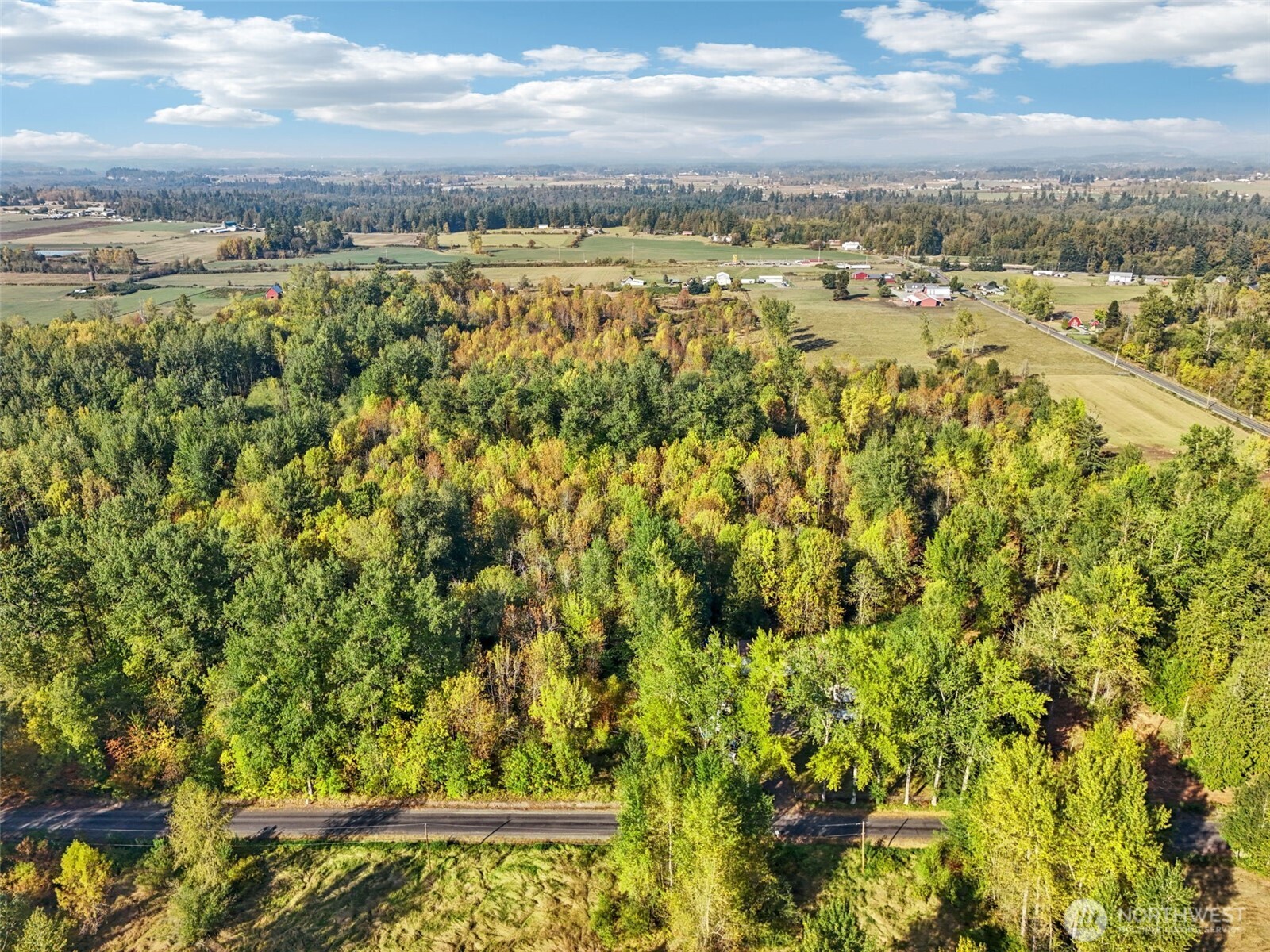 27515 Entwhistle Road East Buckley, WA 98321 - Photo 11 of 17