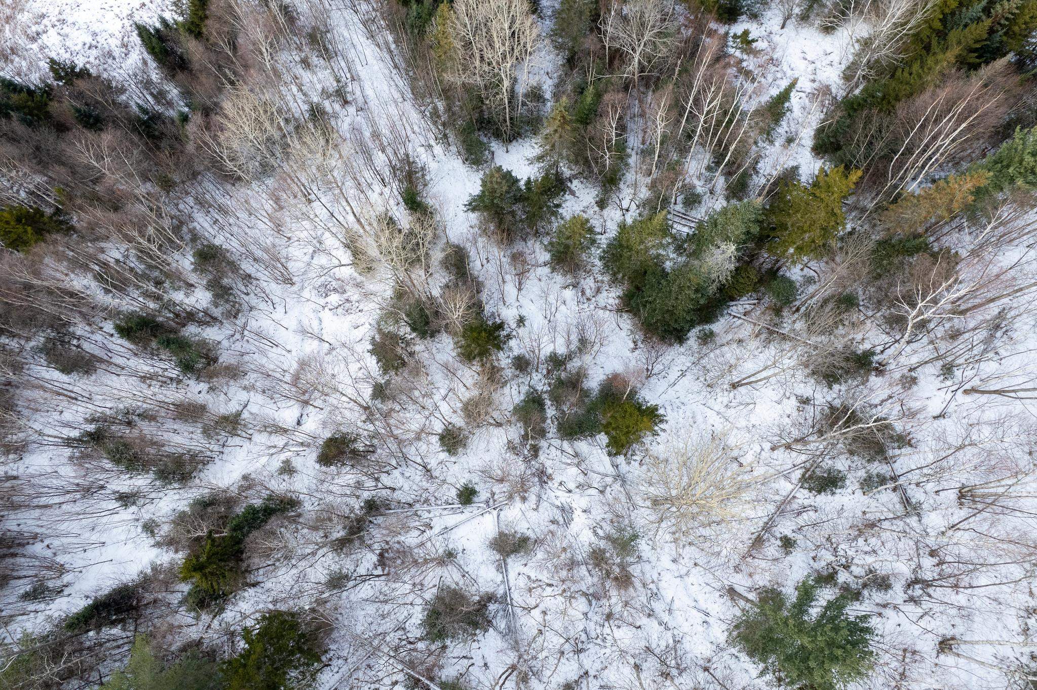 0 Ridge Road East Burke, VT 05832 - Photo 15 of 17