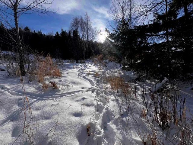 $399,000 | 0 Ridge Road, East Burke, VT 05832