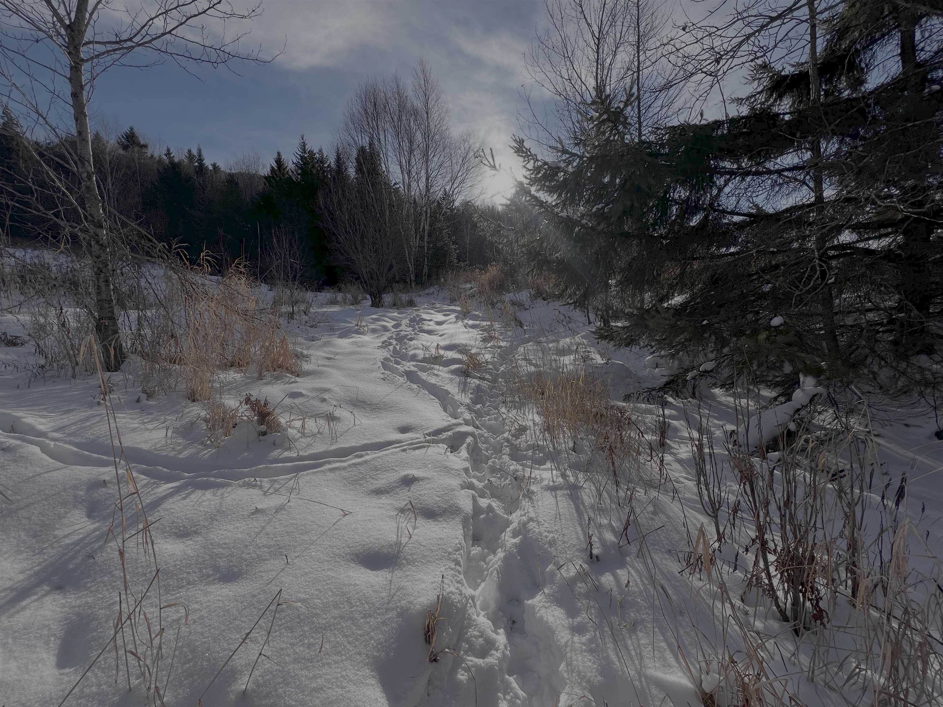 0 Ridge Road East Burke, VT 05832 - Photo 5 of 17