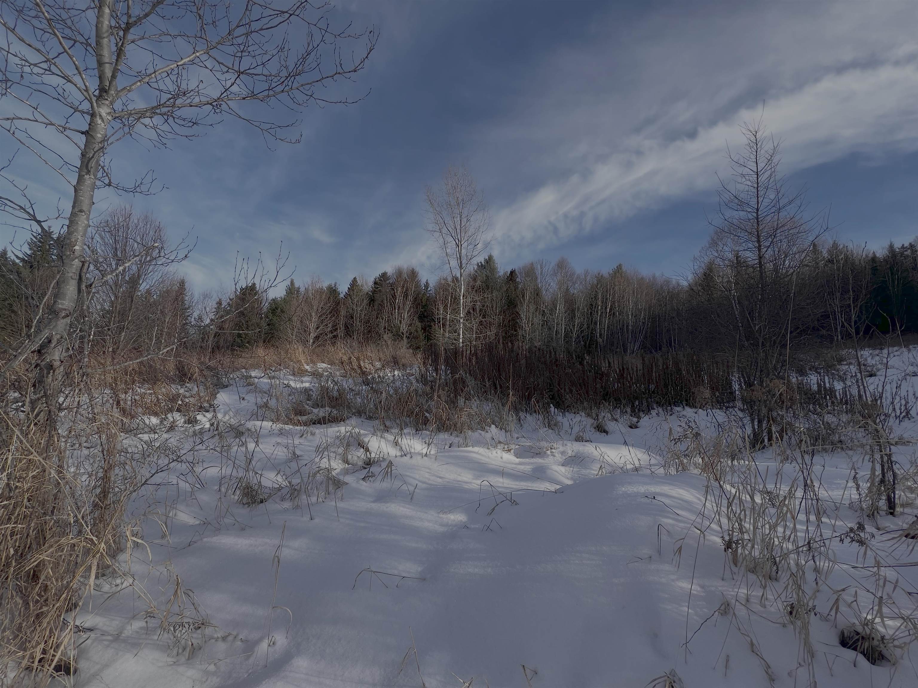 0 Ridge Road East Burke, VT 05832 - Photo 7 of 17