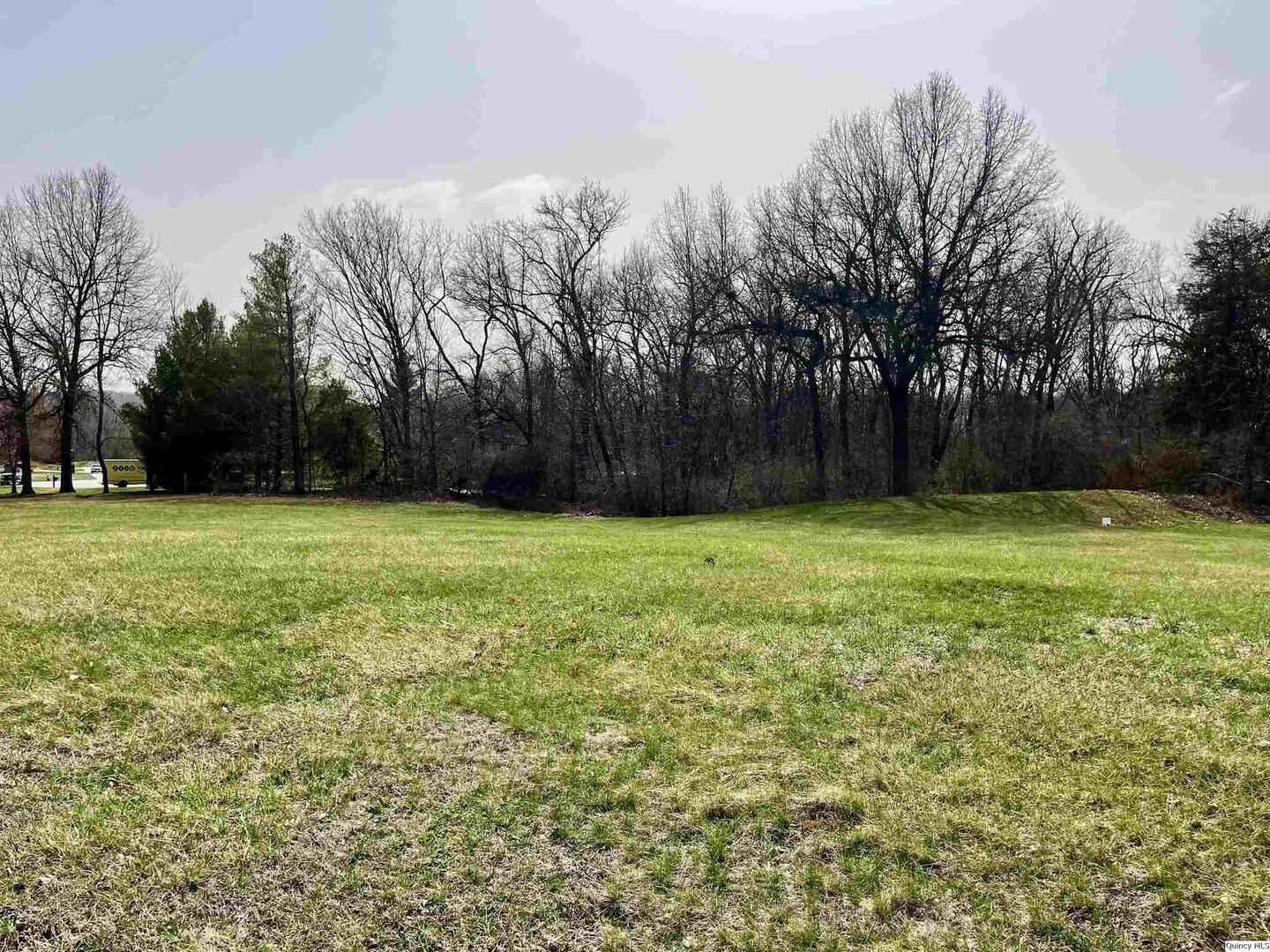 3635 Timberline Drive Quincy, IL 62305 - Photo 2 of 2