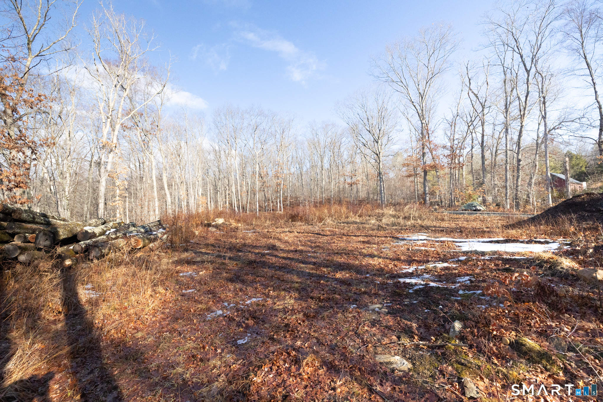 91 A Flatbrook Road, Unit 91 East Hampton, CT 06424 - Photo 2 of 17 a view of large tree with tree in front of it