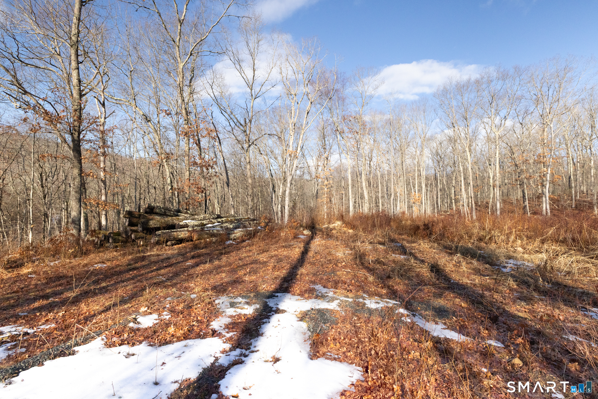 91 A Flatbrook Road, Unit 91 East Hampton, CT 06424 - Photo 3 of 17 a view of a yard with trees on both side of it