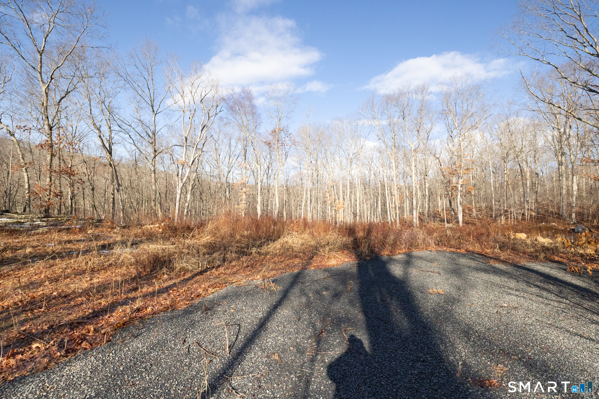91 A Flatbrook Road, Unit 91 East Hampton, CT 06424 - Photo 5 of 17 a view of a pathway with a yard