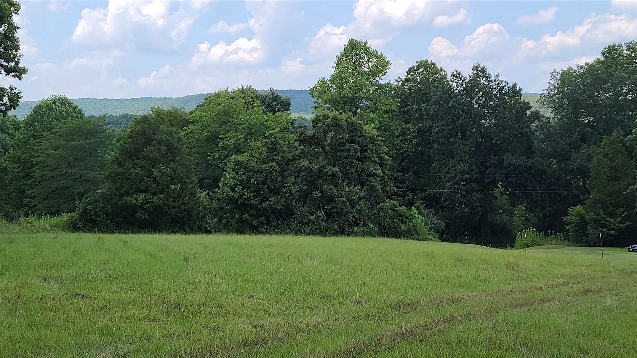10 Henry Hicks Road Herod, IL 62947 - Photo 10 of 34 Gallery Image 10
