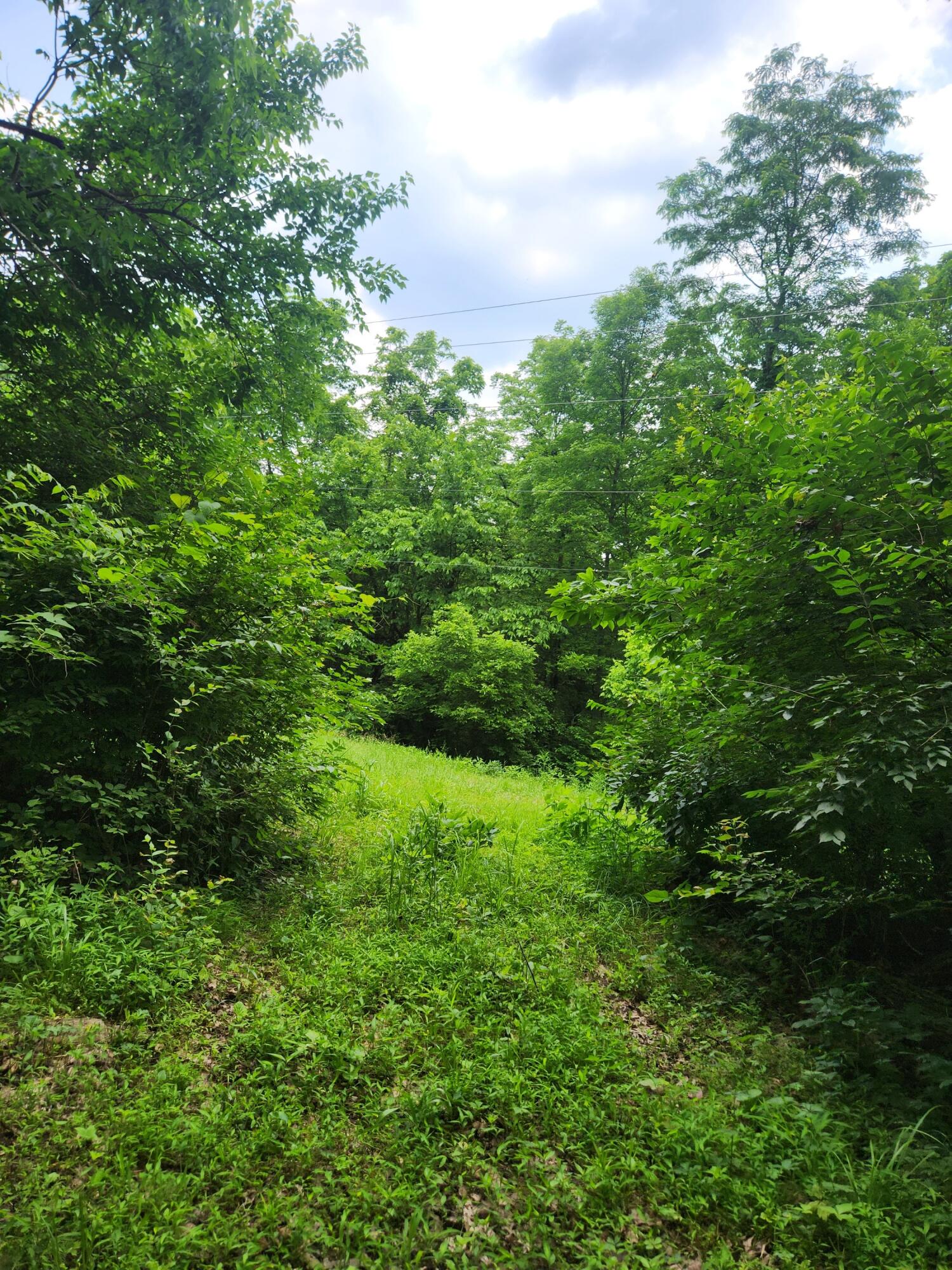 901 Galbraith Road Brooksville, KY 41004 - Photo 12 of 16 Gallery Image 12