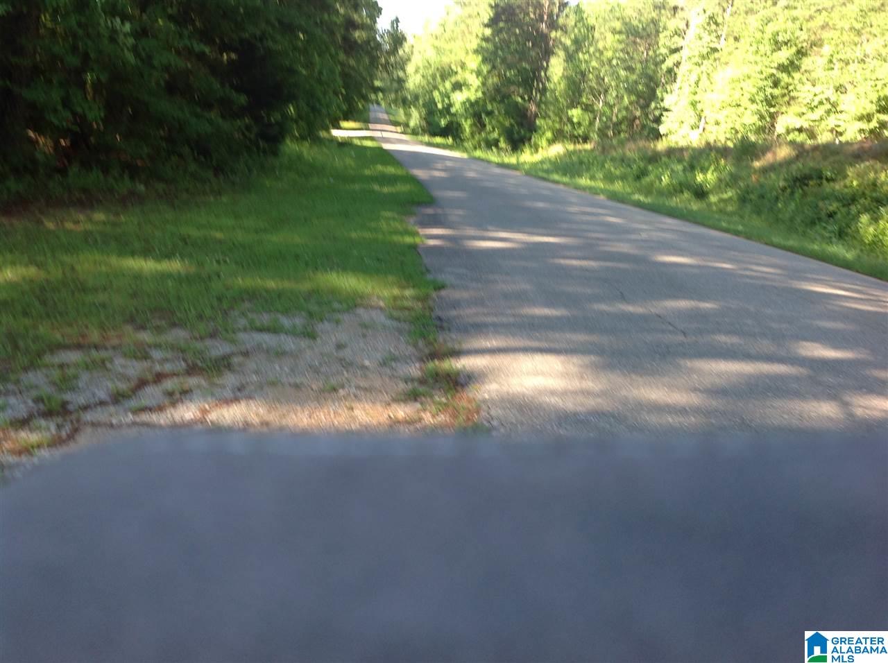 1646 County Road 35 Fruithurst, AL 36262 - Photo 50 of 50