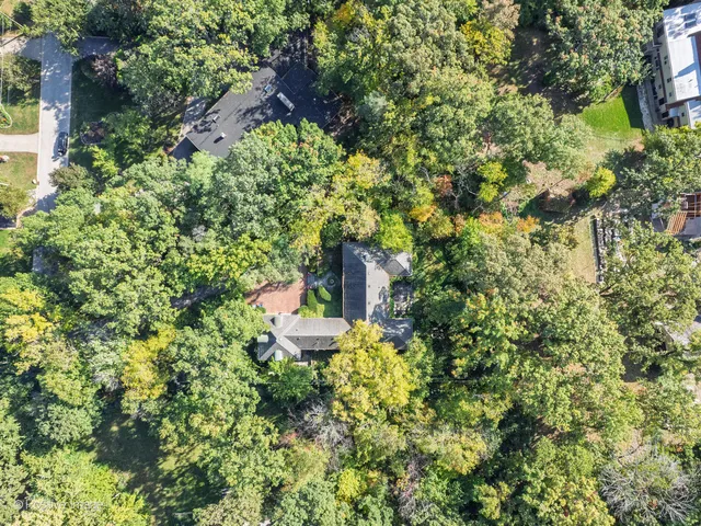 a view of a road with plants and large trees