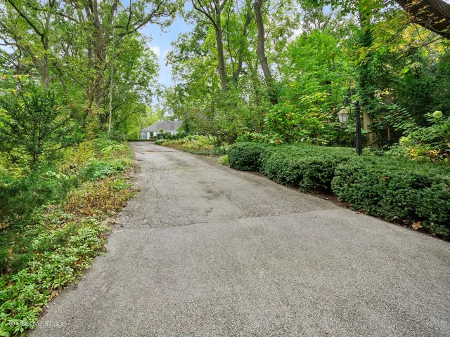 a view of a patio with table and chairs potted plants and large tree