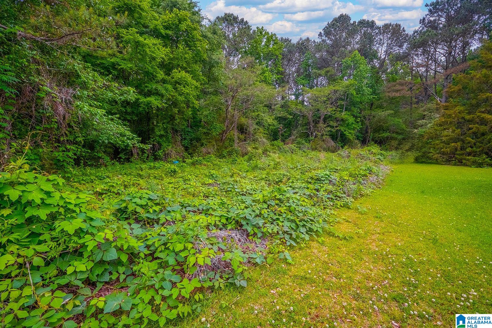 0 Spunky Hollow Road, Unit 1 Trafford, AL 35172 - Photo 17 of 18