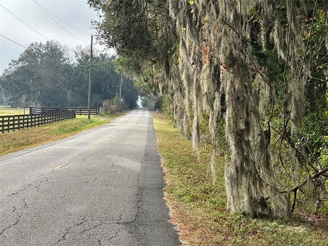 a view of a yard with a large trees