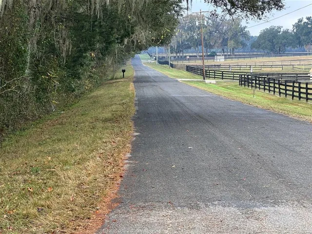 a view of a yard with a tree