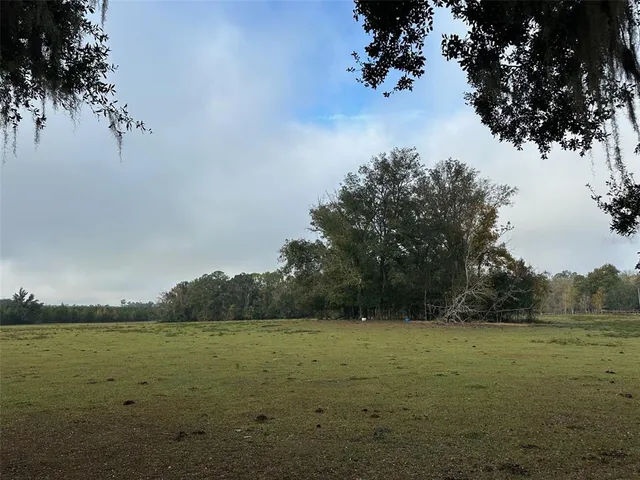 a view of a yard with an outdoor space