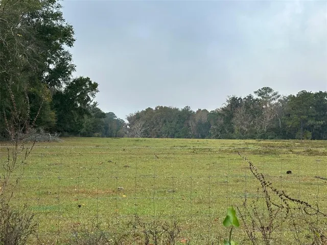 a view of a swimming pool with a yard