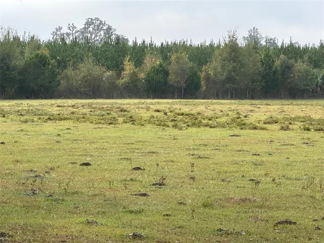 a view of yard and mountain