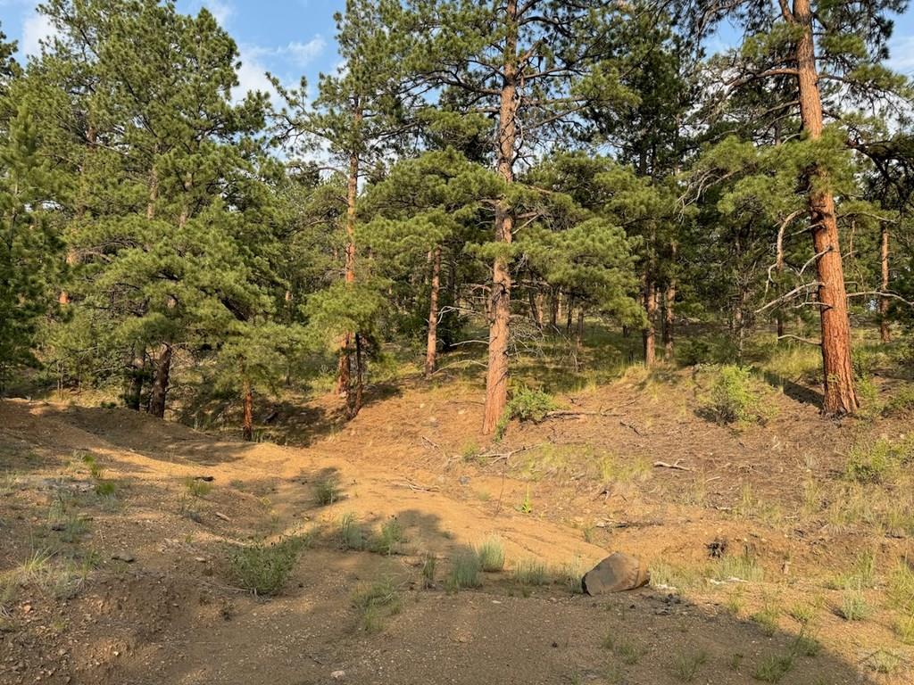 302 Oak Road Westcliffe, CO 81252 - Photo 2 of 6 Gallery Image 2