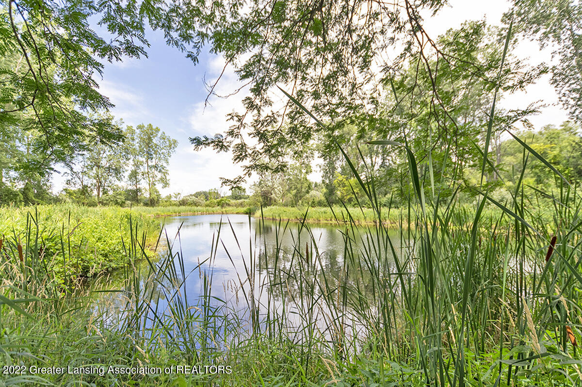 4951 Van Atta Road Okemos, MI 48864 - Photo 4 of 59 _DSC8071