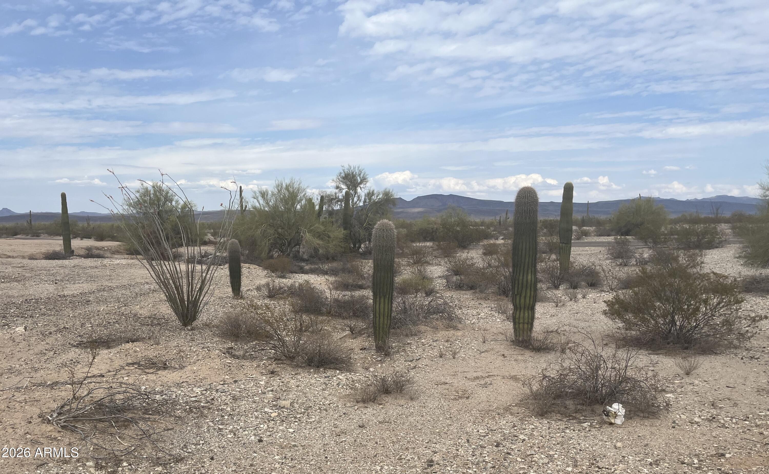 2719 North Rosser Road Ajo, AZ 85321 - Photo 5 of 9 2719 Rosser Cacti
