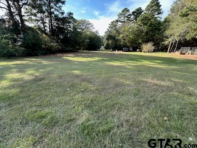 a view of a green field with trees in the background
