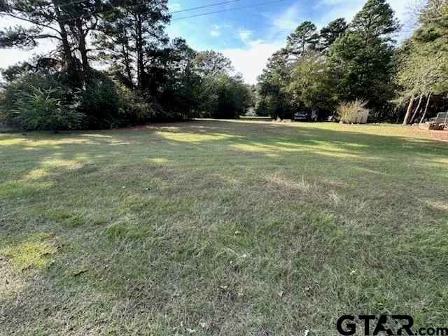 a view of a green field with trees in the background