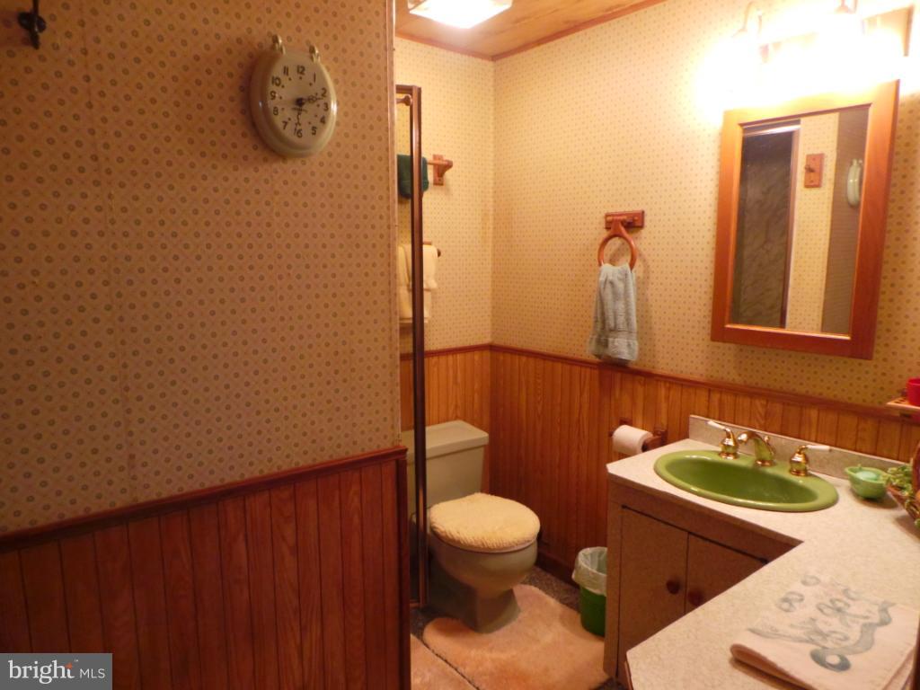 1373 Audubon Road Hedgesville, WV 25427 - Photo 20 of 30 Basement bathroom