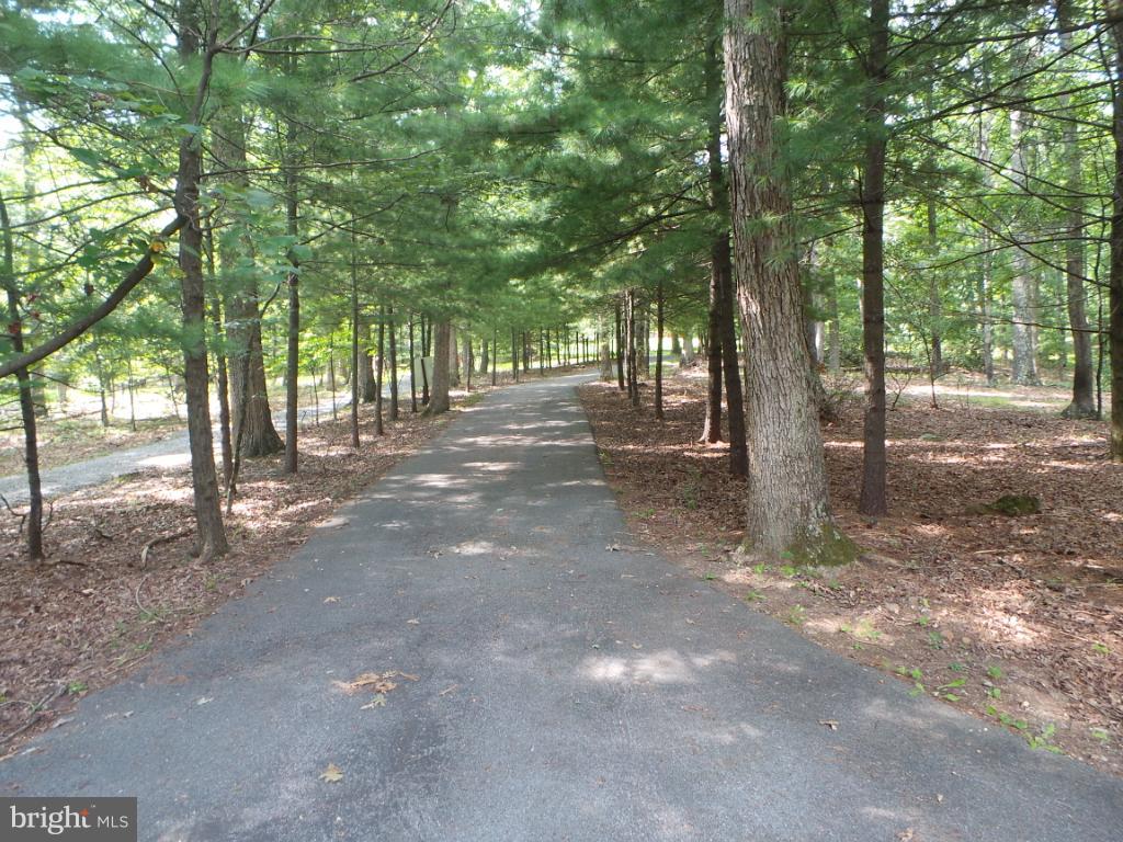 1373 Audubon Road Hedgesville, WV 25427 - Photo 27 of 30 Paved driveway