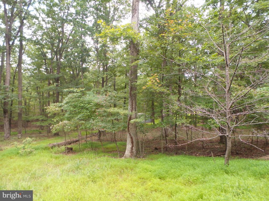 1373 Audubon Road Hedgesville, WV 25427 - Photo 28 of 30 adjoining lot