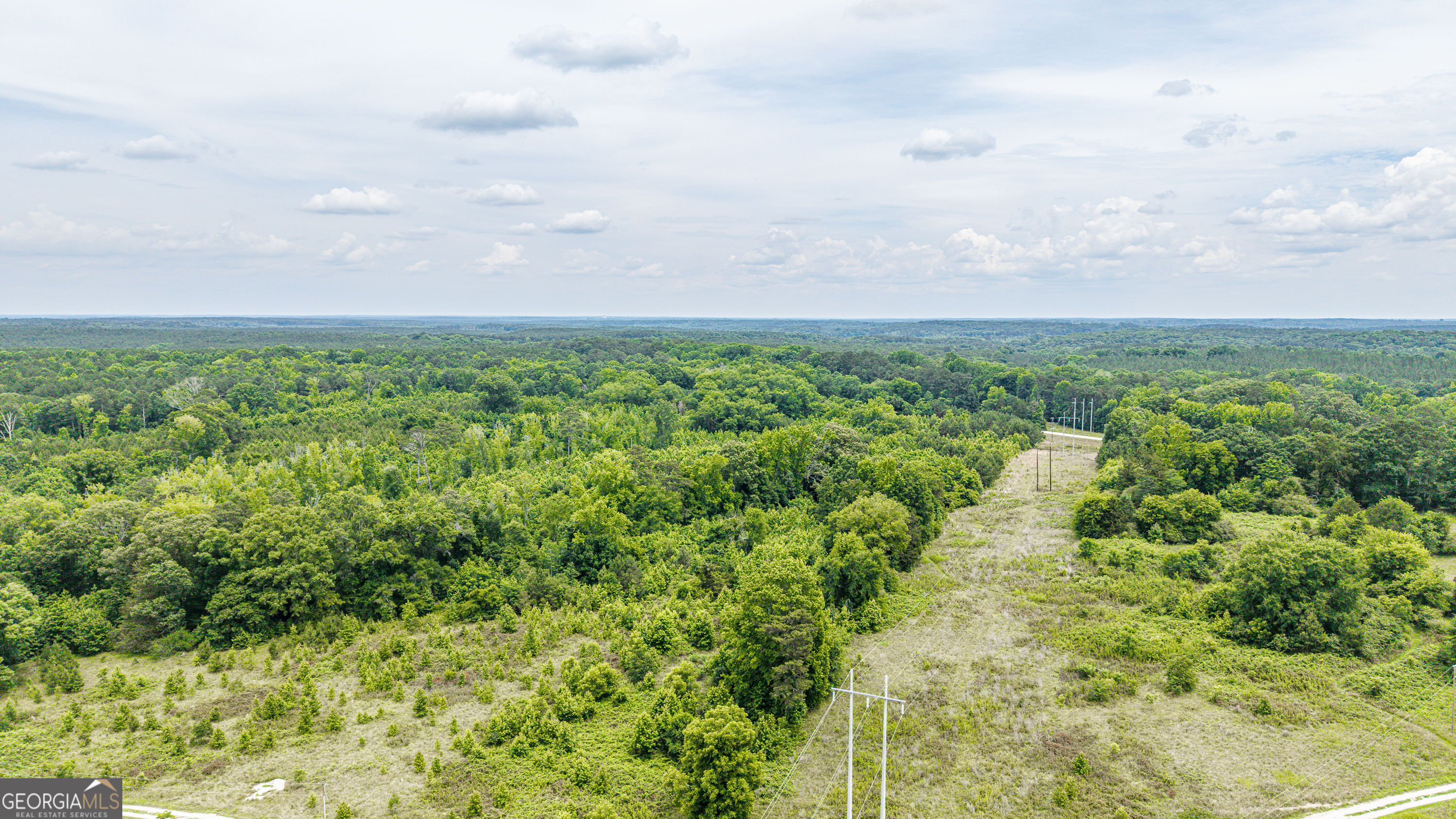 0 Washington Highway Union Point, GA 30669 - Photo 20 of 22