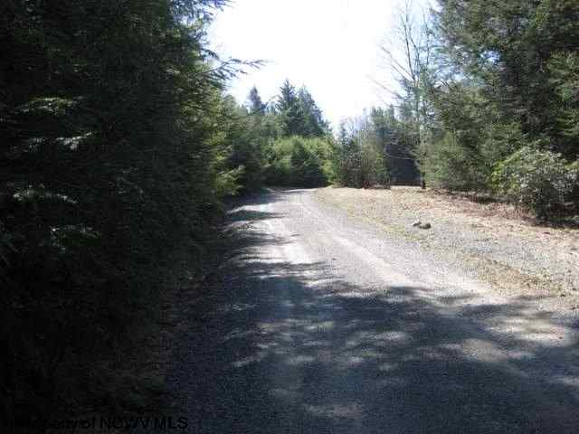 Lot 1 Whites Run Road Whitmer, WV 26296 - Photo 1 of 4 Gallery Image 1