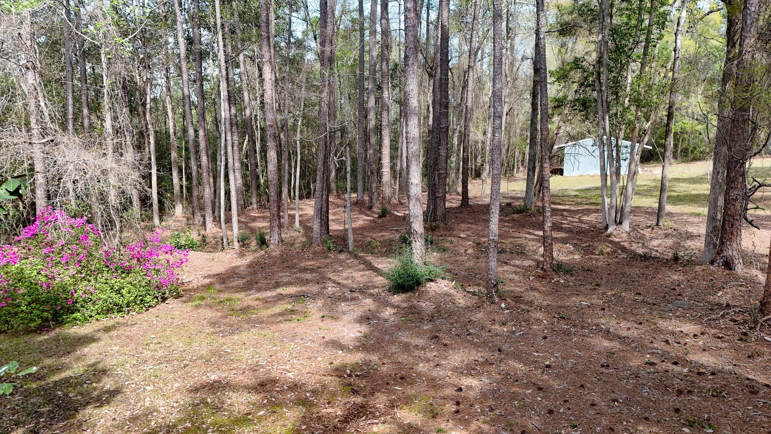 2374 Co Highway 280A DeFuniak Springs, FL 32435 - Photo 57 of 66 a backyard of a house with lots of green space