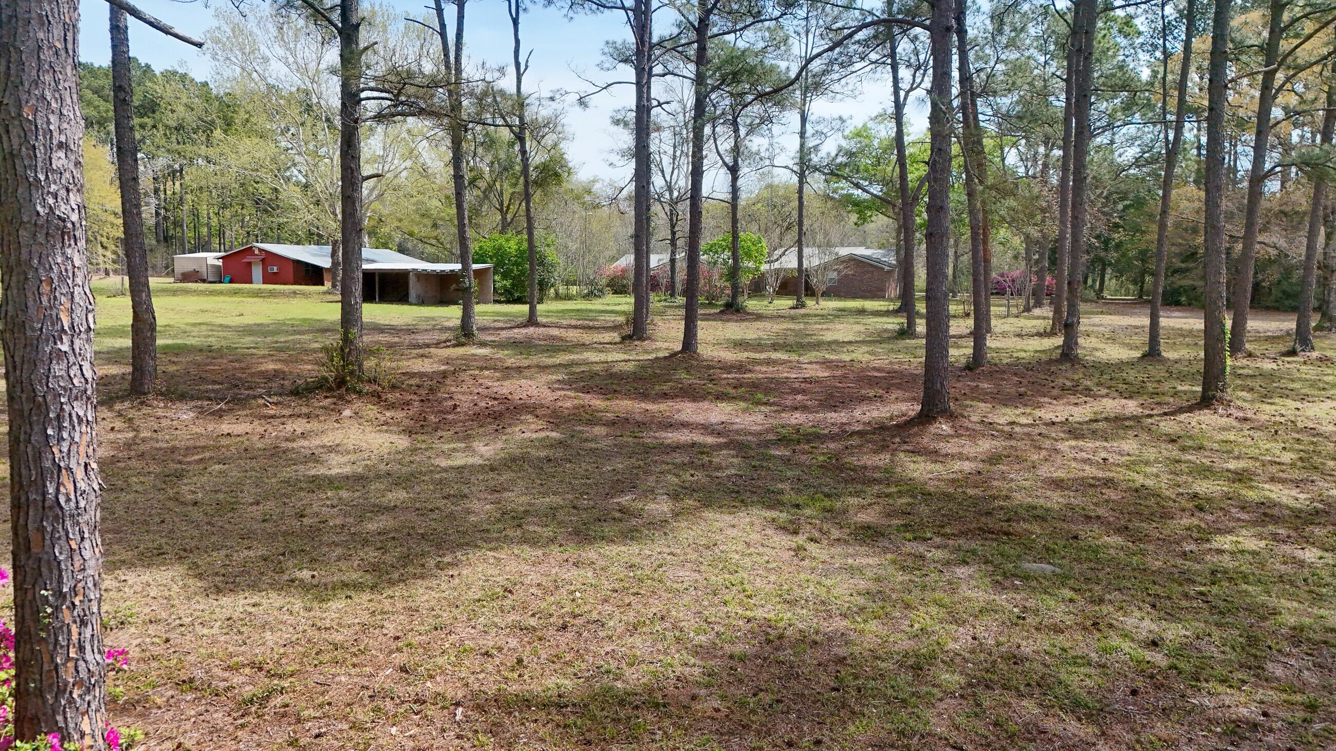 2374 Co Highway 280A DeFuniak Springs, FL 32435 - Photo 59 of 66 a view of outdoor space with trees