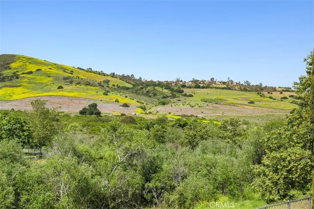 $11,495,000 | 31 Black Hawk, Irvine, CA 92603