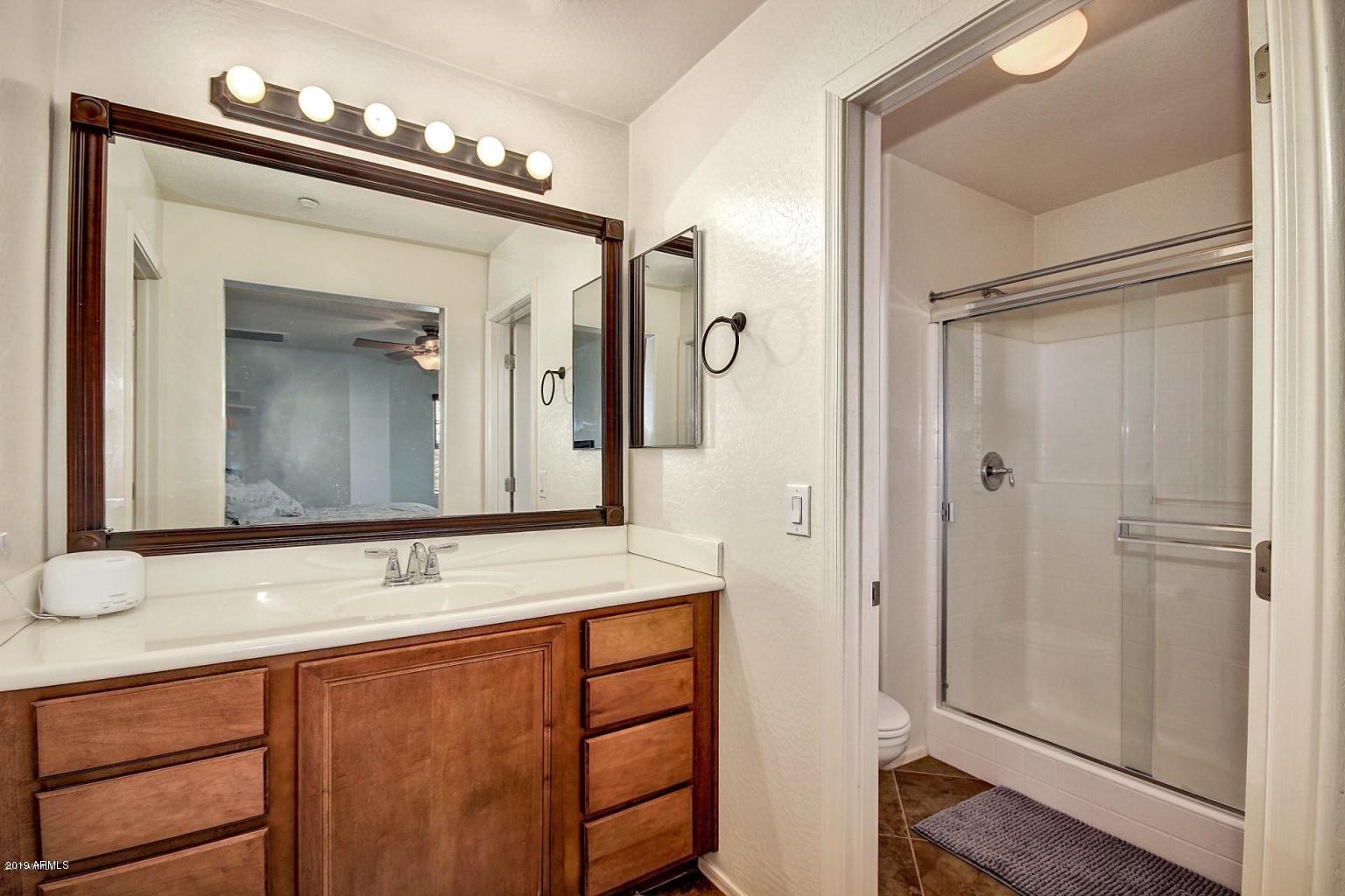 1668 South Martingale Road Gilbert, AZ 85295 - Photo 3 of 8 master bath