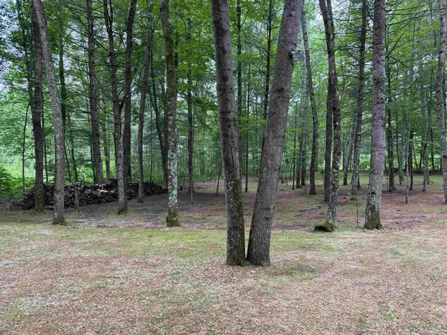 $49,900 | N1640 Sundance Trail, Keshena, WI 54135