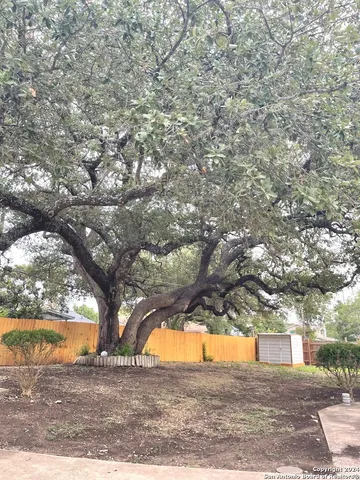 $1,600 | 6119 Forest Court, San Antonio, TX 78240